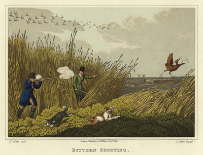Bittern Shooting by Henry Thomas Alken